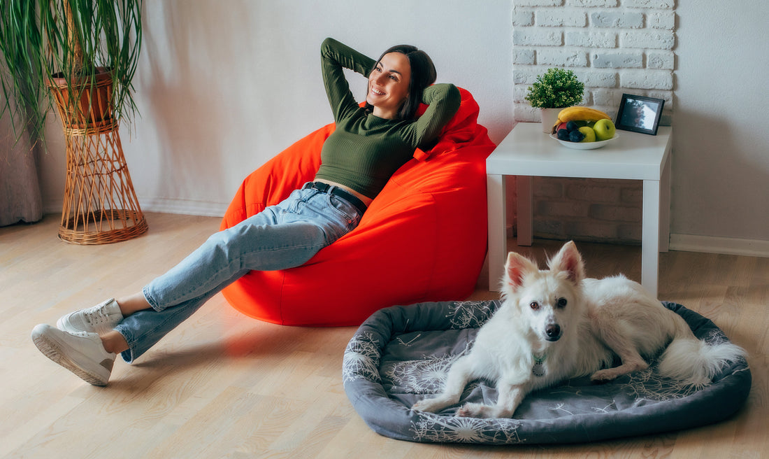 Creating a Comfortable Home for Your Pet