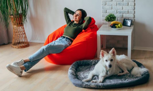 Creating a Comfortable Home for Your Pet