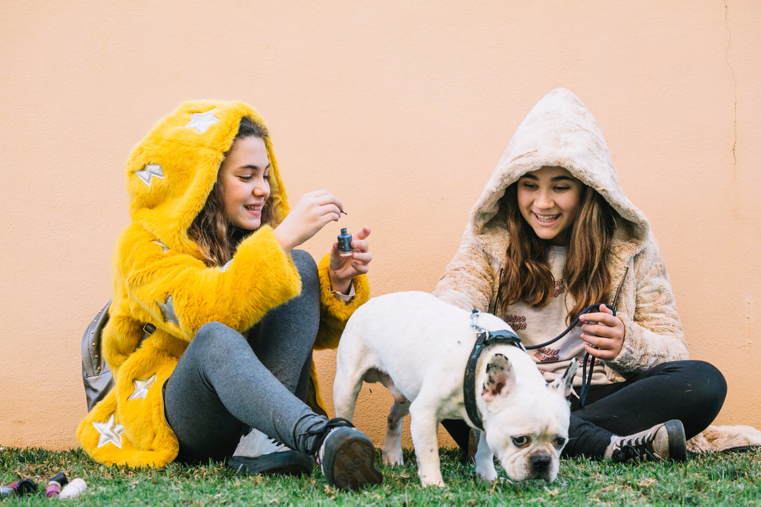 Small Pet Accessories That Make a Big Difference