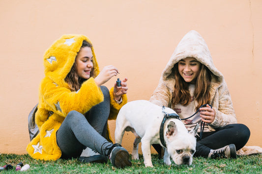 Small Pet Accessories That Make a Big Difference