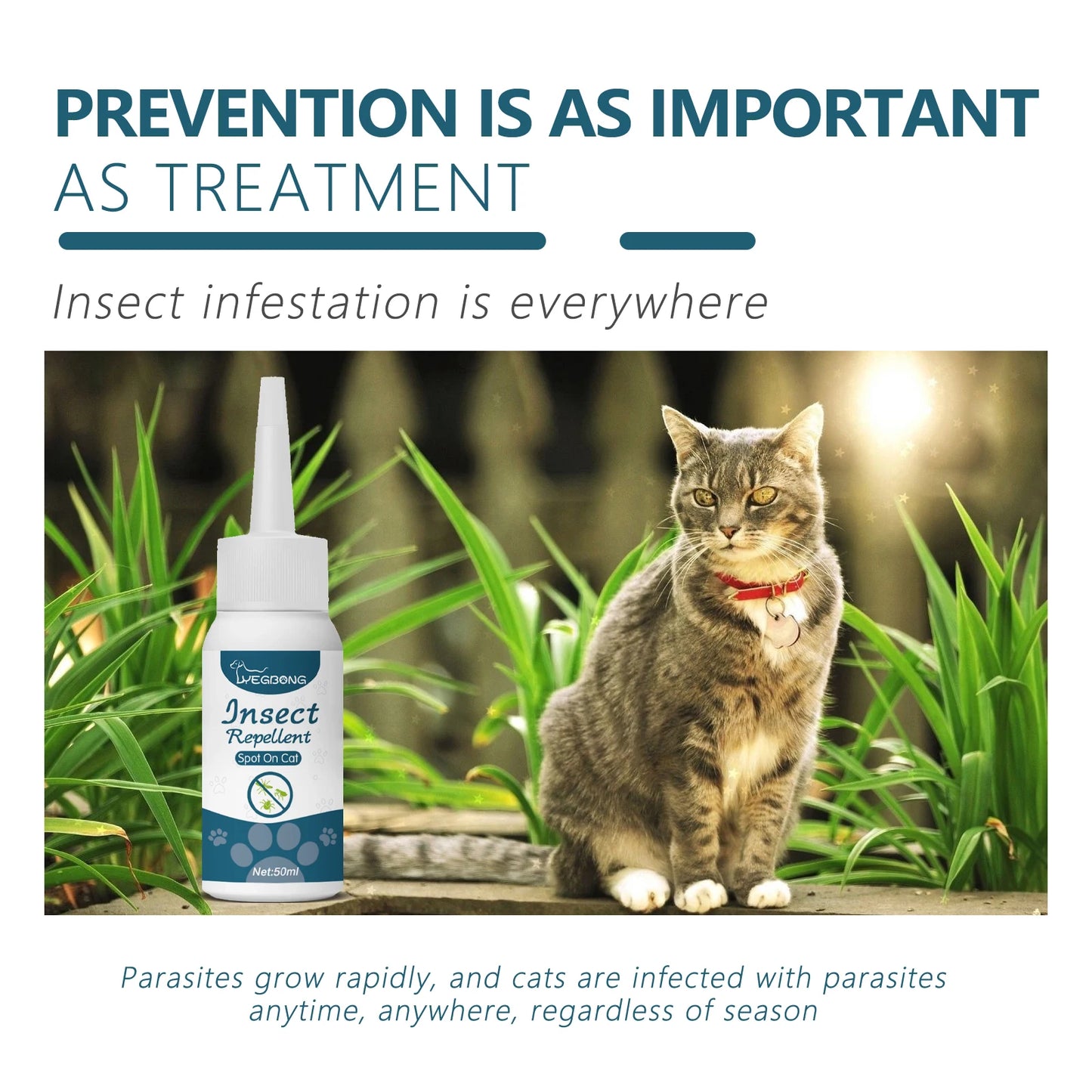 50ML Flea and Tick Care Drops