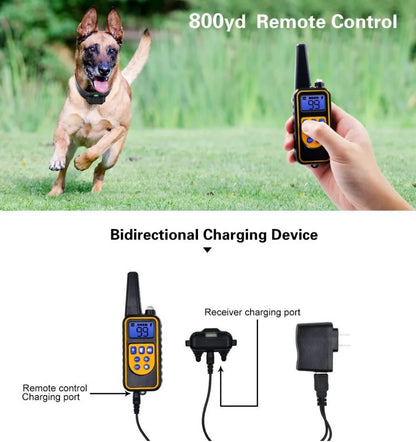 Rechargeable Waterproof Remote Training Collar
