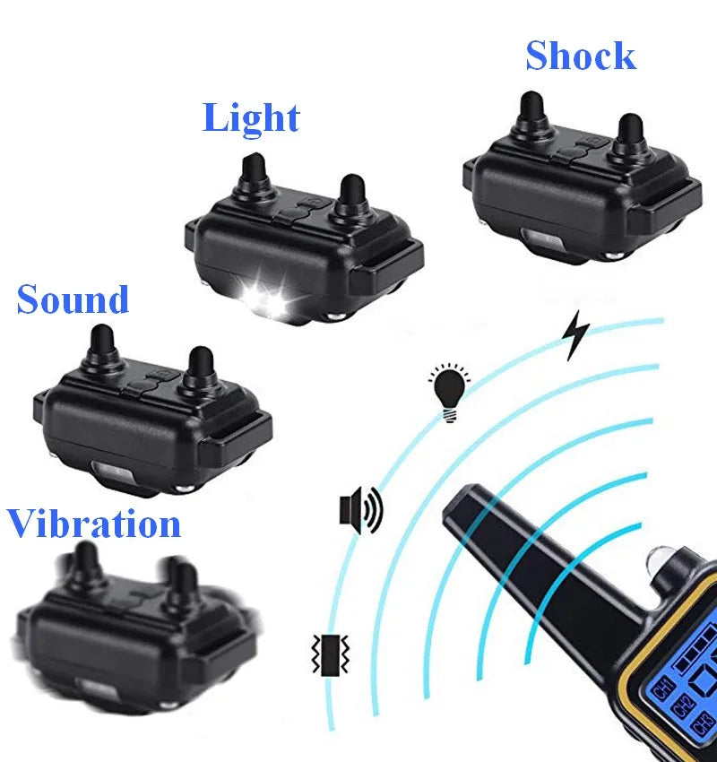 Rechargeable Training Collar