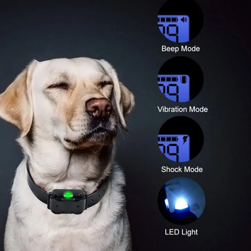Rechargeable Waterproof Remote Training Collar