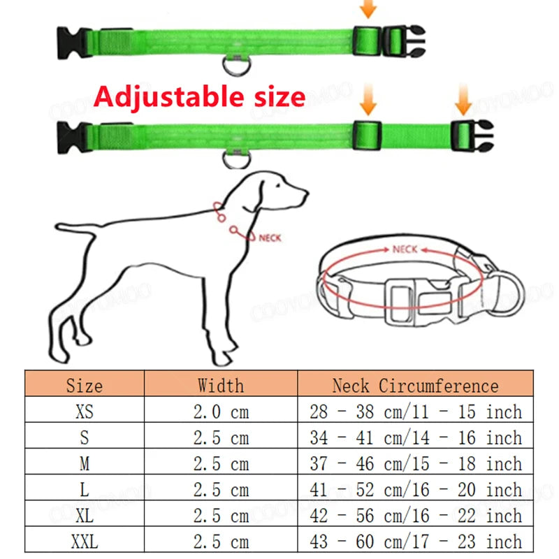 USB Rechargeable LED Dog Collar