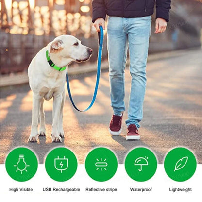 USB Rechargeable LED Dog Collar