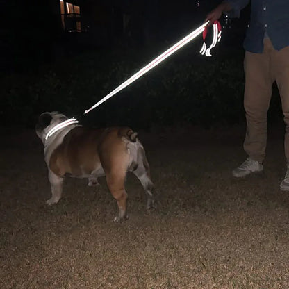 Reflective Walking Leash