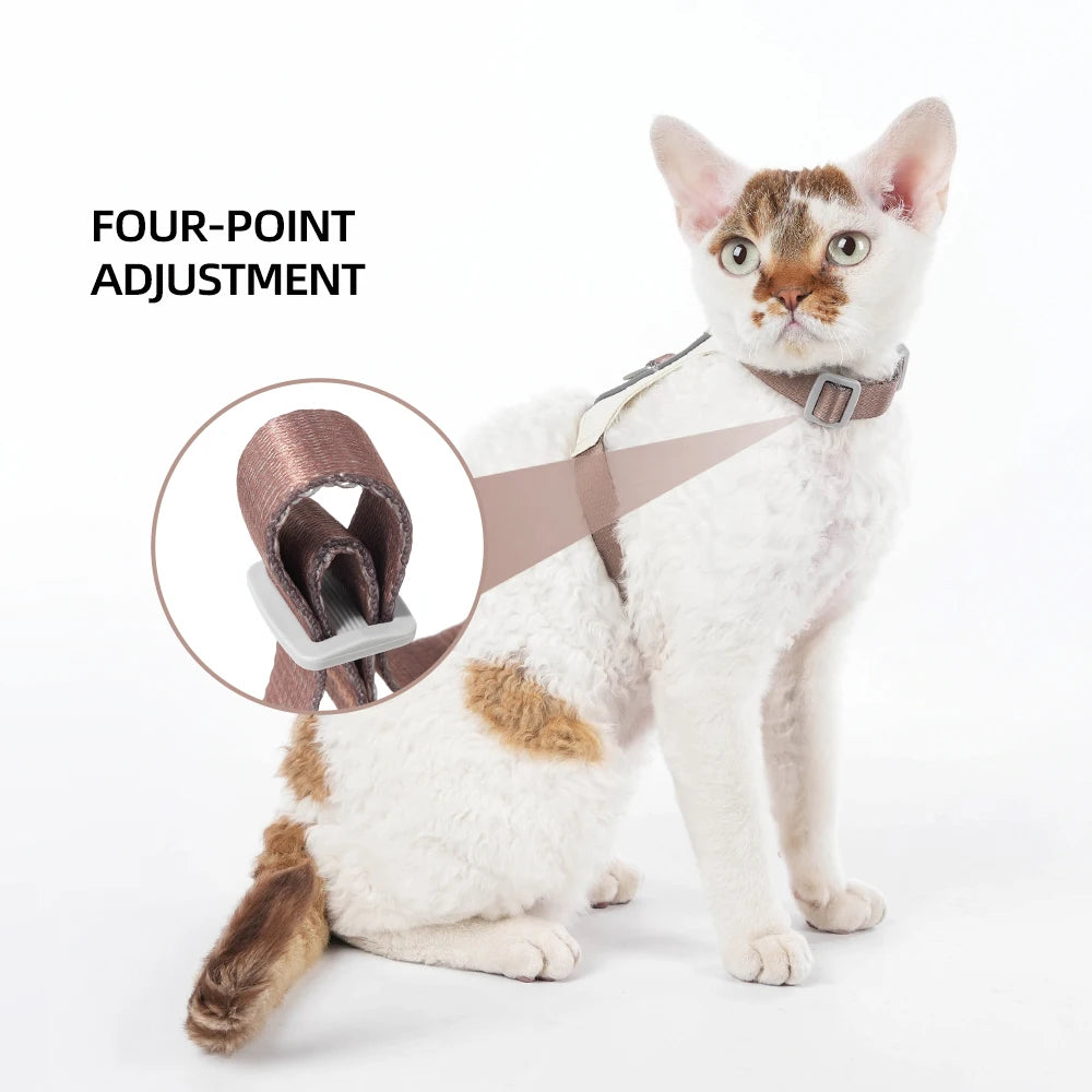 Escape-Proof Harness and Leash Set