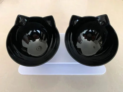 Double feeding bowl