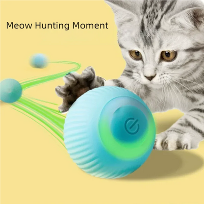 Smart Automatic Rolling Ball