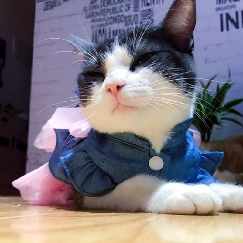 Denim Sphynx Summer Dress