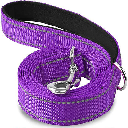 Reflective Walking Leash