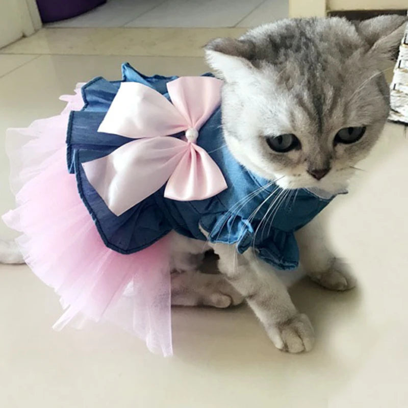 Denim Sphynx Summer Dress