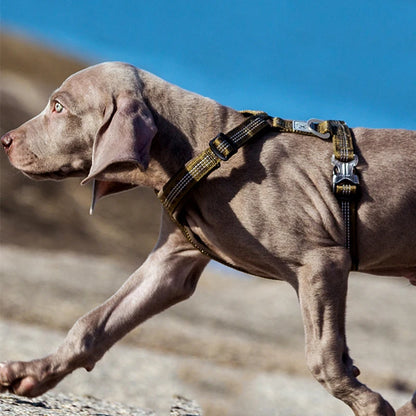 Nylon Pet Harness
