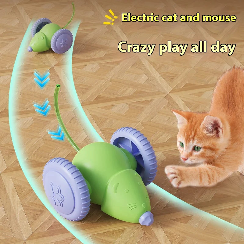 Rechargeable Electric Mouse Toy