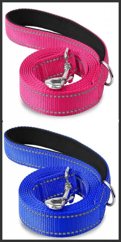 Reflective Walking Leash
