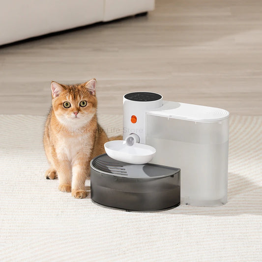 Rechargeable Automatic Water Fountain