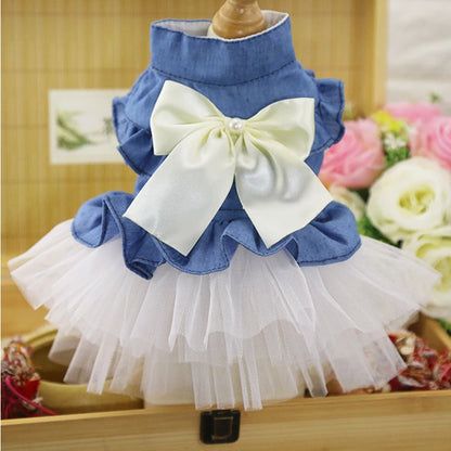 Denim Sphynx Summer Dress