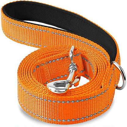 Reflective Walking Leash