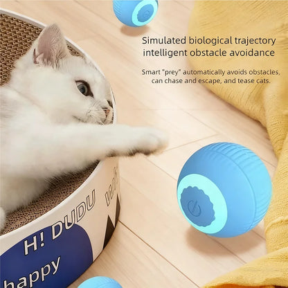 Smart Automatic Rolling Ball
