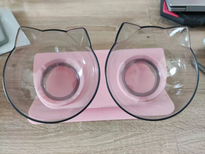 Double feeding bowl