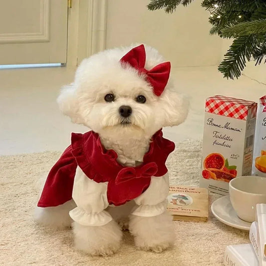 Winter Corduroy Puppy Princess Dress