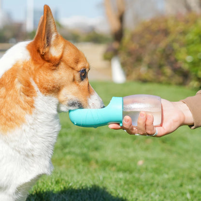 Portable 300ML Water Bottle