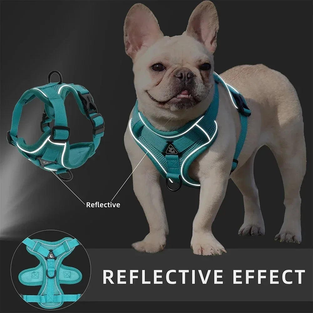 Reflective No-Pull Harness and Leash Set