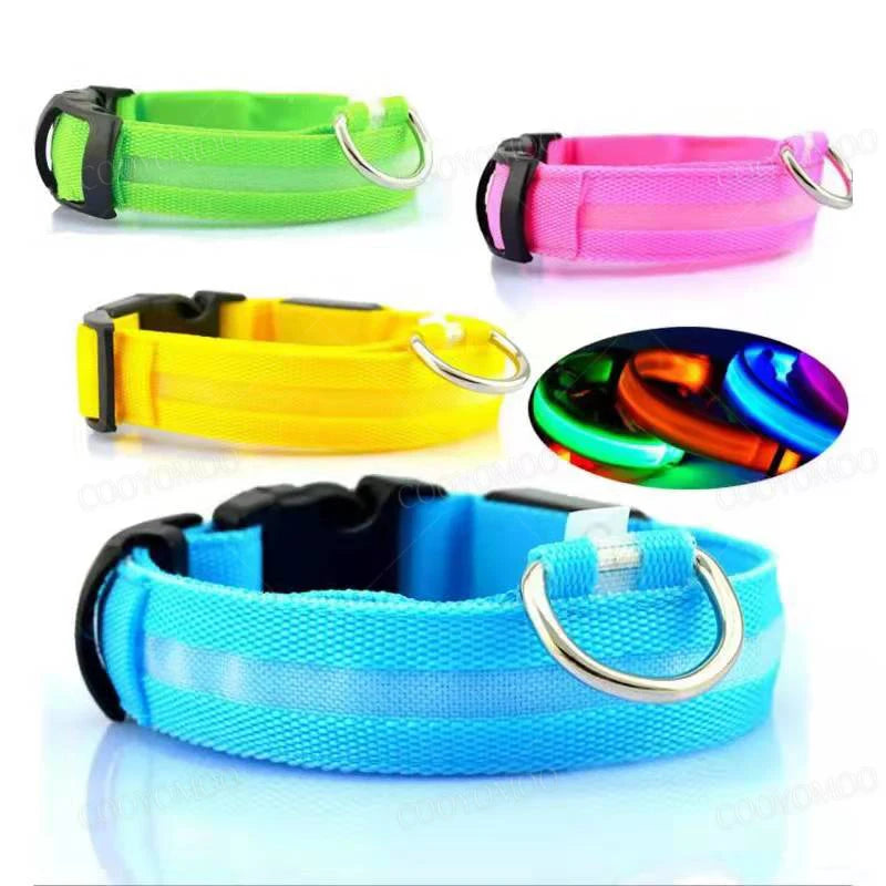 USB Rechargeable LED Dog Collar