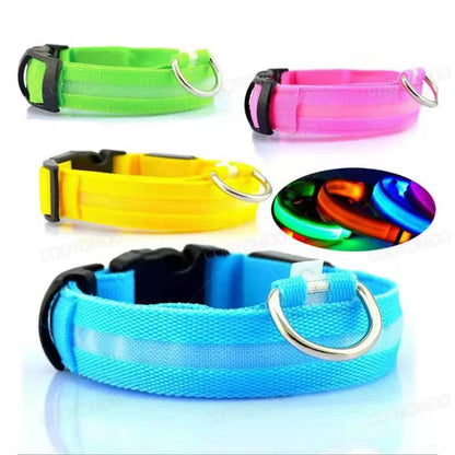 USB Rechargeable LED Dog Collar