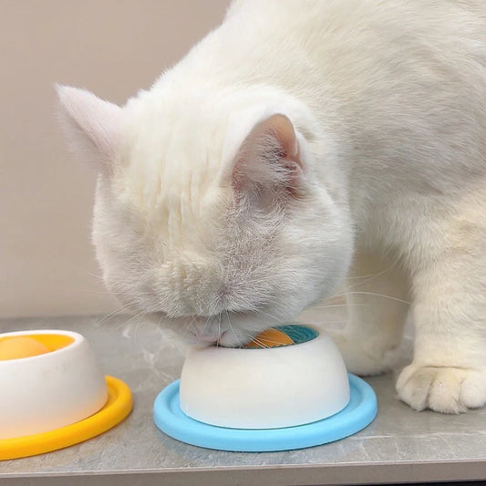 Slow Feeder Food Dispenser