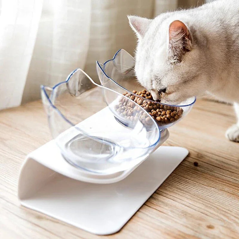 Double feeding bowl