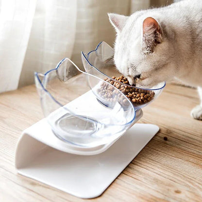 Double feeding bowl