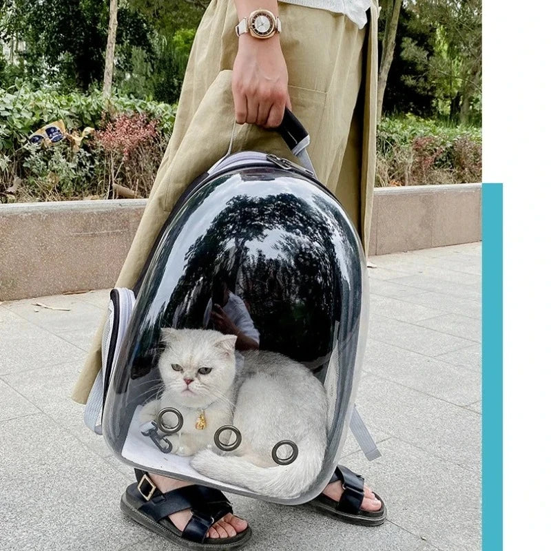 Transparent Space Capsule Carrier Backpack