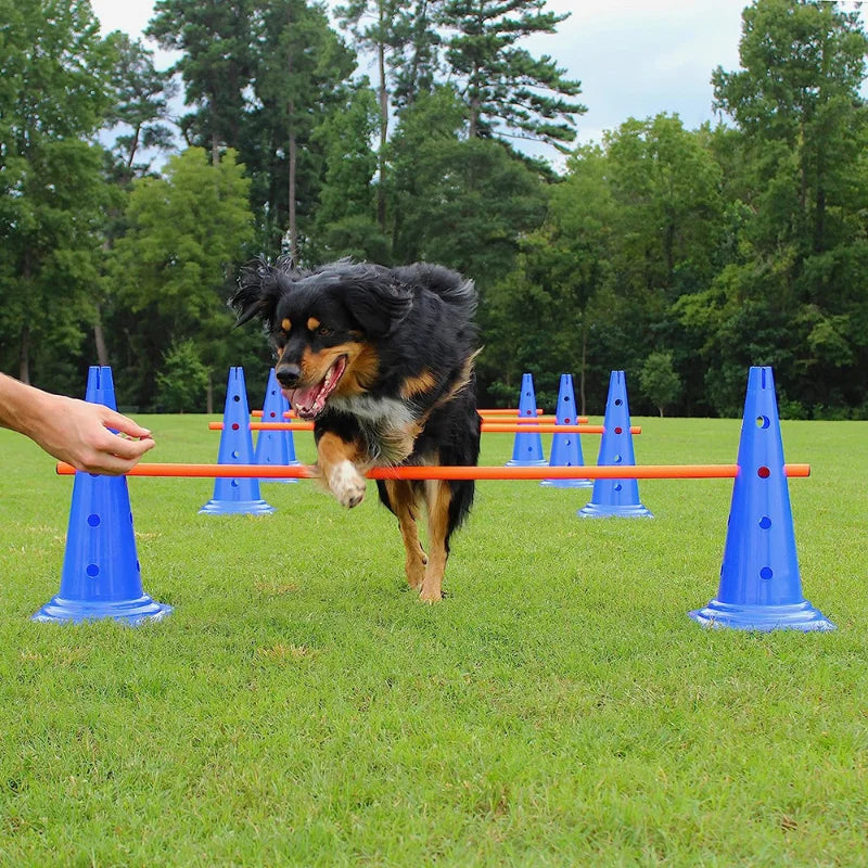 Agility Jumping Bar Obstacle Training Set