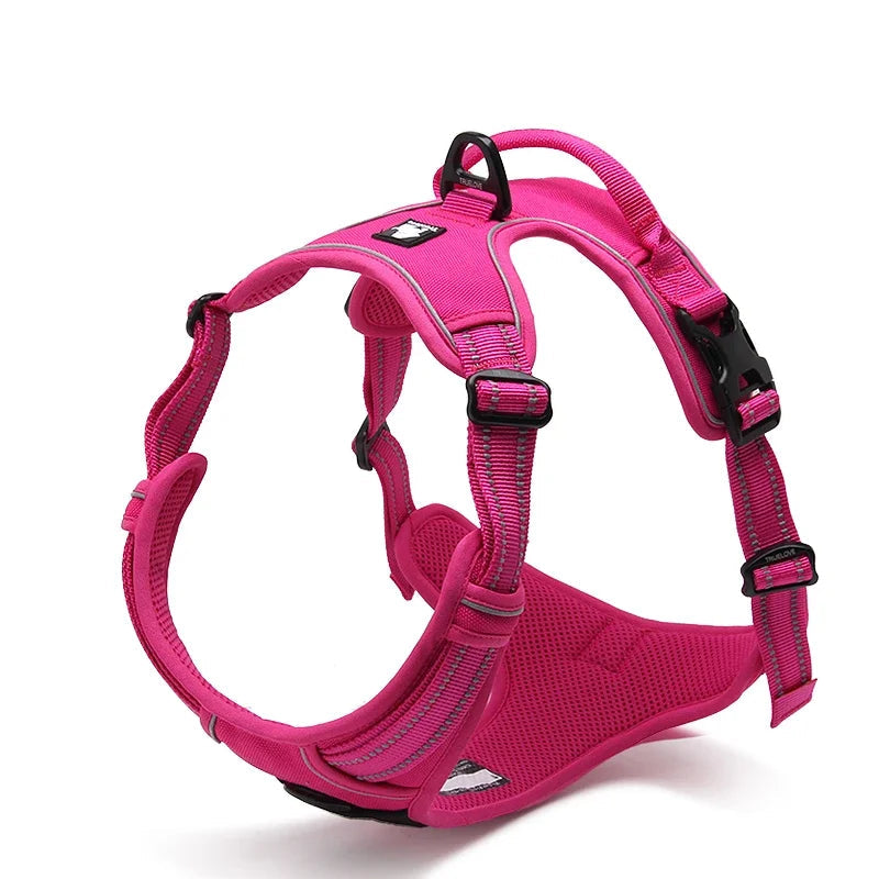 Reflective Padded Nylon Harness