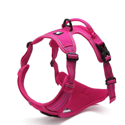 Reflective Padded Nylon Harness