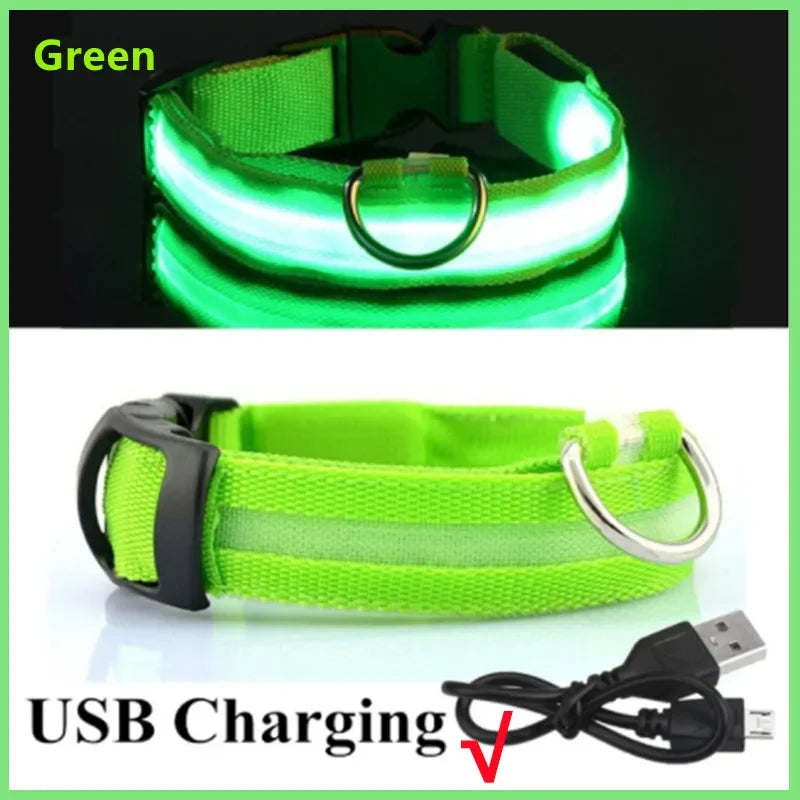 USB Rechargeable LED Dog Collar