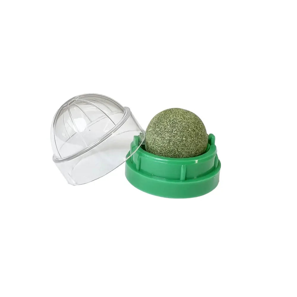 Natural Catnip Wall Ball Toy