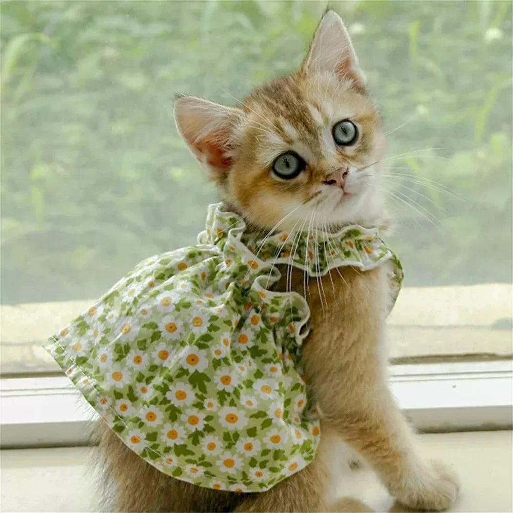 Summer Cotton Sphynx Suspender Princess Dress