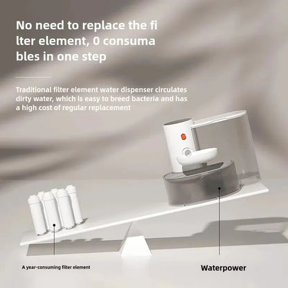 Rechargeable Automatic Water Fountain