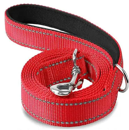 Reflective Walking Leash