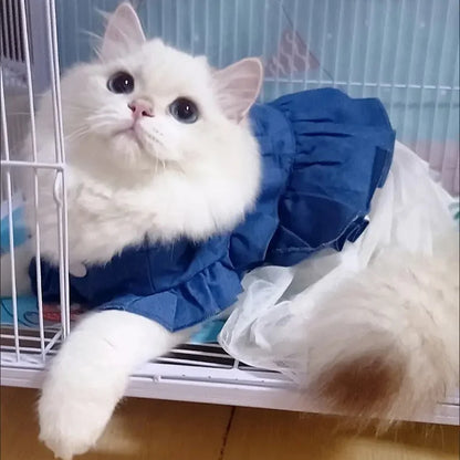 Denim Sphynx Summer Dress