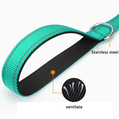 Reflective Walking Leash