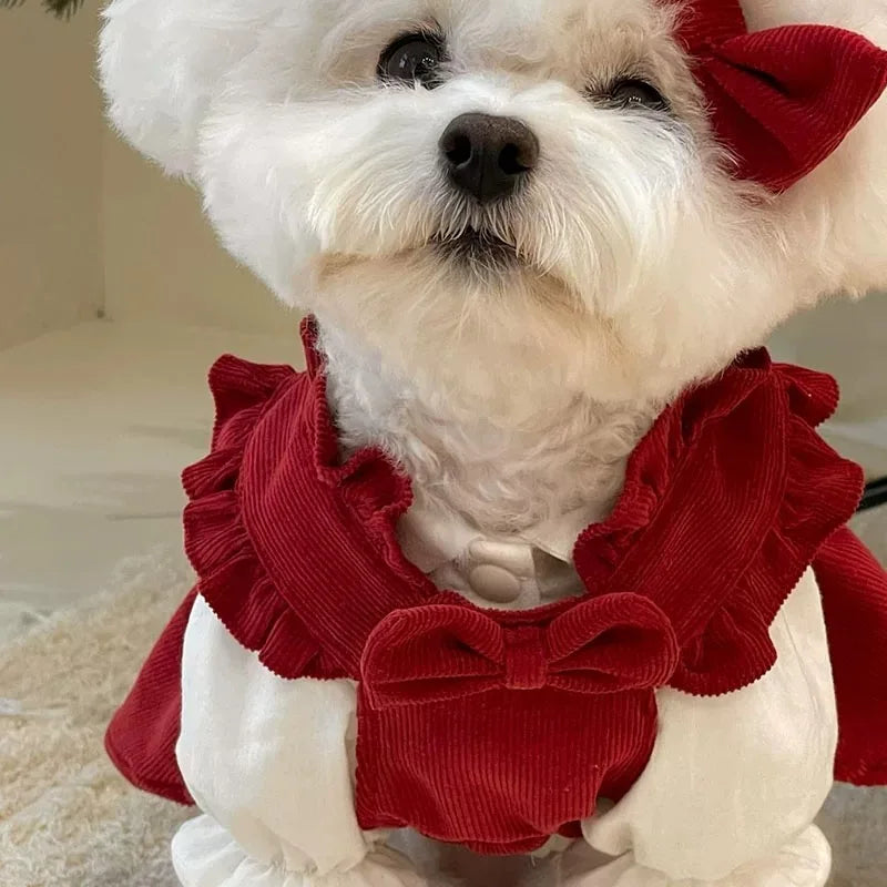 Winter Corduroy Puppy Princess Dress