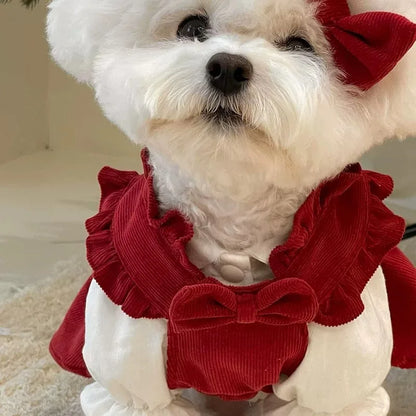 Winter Corduroy Puppy Princess Dress
