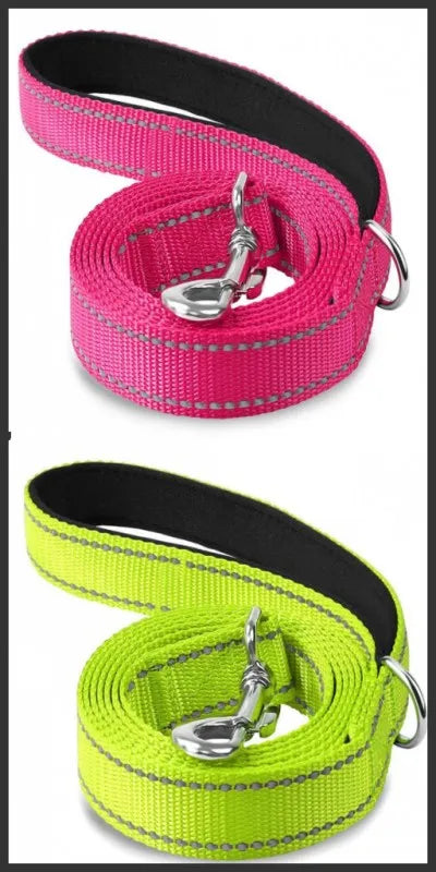 Reflective Walking Leash