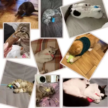 Interactive Catnip Plush Chew Toy