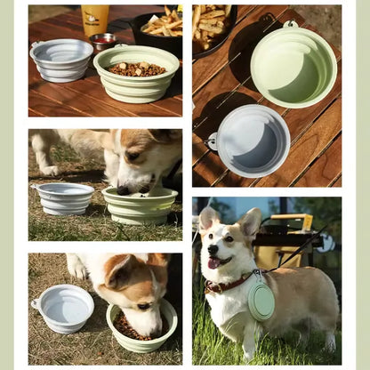 Foldable Silicone Travel Bowl
