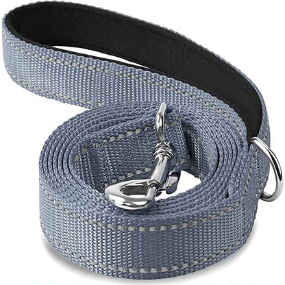 Reflective Walking Leash